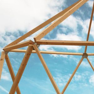 Magidome®  Geodesic Dome connector kit. Build your own magical space , playhouse, tent, trellis or mini greenhouse.