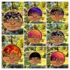 Name Patch Custom Your Name Moon Stars Tent Forest Personalized Embroidered Iron-On Applique Clothing Vest Jacket, Nature Camping Adventure