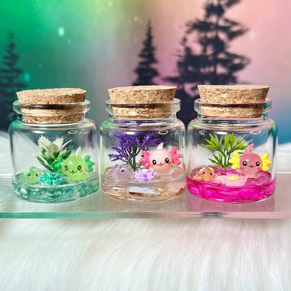 Axolotl Families – Re-stocked 4/17. Miniature Axolotl in a Bottle Tiny Terrarium Buddies / Desk Pet / Mini Axolotl Jar / Adopt a Pet Axolotl
