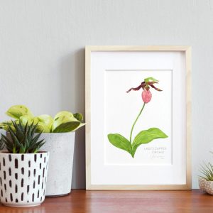 Lady’s Slipper Orchid Watercolor Botanical Print Woodland Wildflower